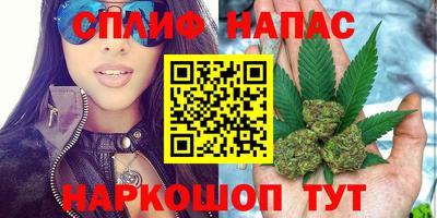 МДПВ Будённовск