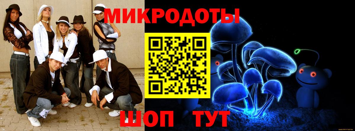 Галлюциногенные грибы Cubensis Шелехов